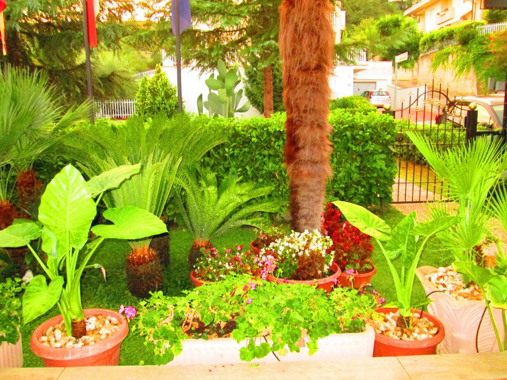 B&B Le Begonie Ascoli Piceno Rom bilde